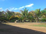 PLAY GROUND (1)